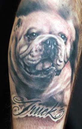 bulldog portrait tattoo