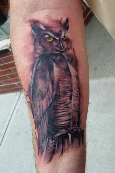 Owl tattoos now has it's first in-progress-to-finished-piece,