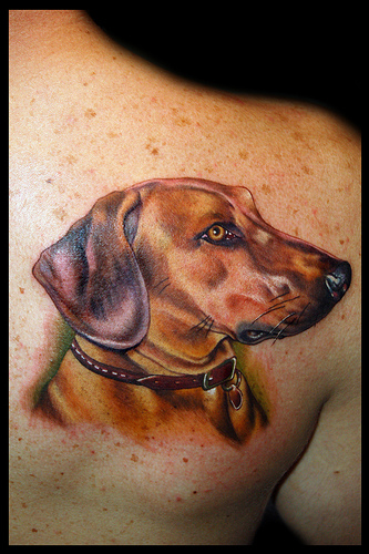 Tattoos Keith Ciaramello Realistic Dog Portrait