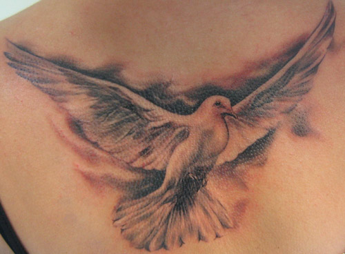 Regardless of your religious beliefs the dove tattoo can be a beautiful and