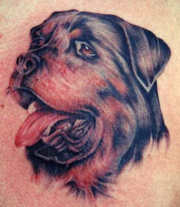 The image “http://www.zhippo.com/Level5TattooHOSTED/images/gallery/rotty-dog-tattoo-m.jpg” cannot be displayed, because it contains errors.