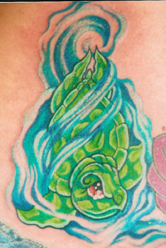 Looking for unique Nebraska Tattoos Turtle Tattoo