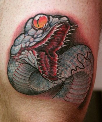 cover up tattoos. Snake Coverup Tattoo