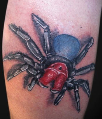 Looking for unique Tattoos? Red Headed Mouse Spider