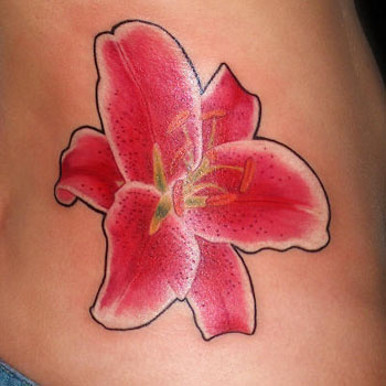 stargazer lily tattoos. Flower Stargazer Lily side