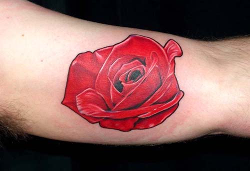 Flower Tattoos Rose on inner bicep