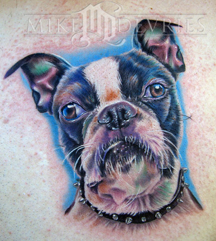 Looking for unique Nature Animal tattoos Tattoos? Boston Terrier