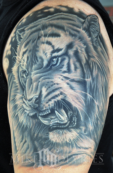 tiger tattoo. Animal Tiger Tattoos,