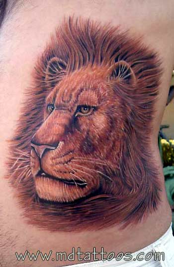 tattoos of lions for girls. Mike DeVries - Lion Tattoo