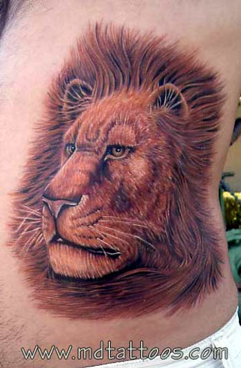 aslan d vmesi d vme d vmelerine buradan bakabilirsiniz lion leo tattoos