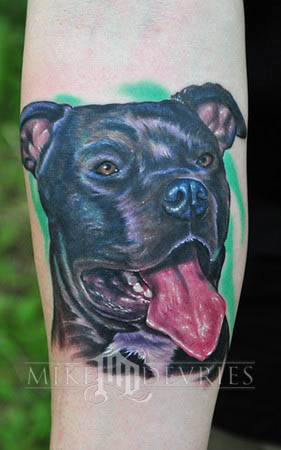 dog-small-forearm.jpg