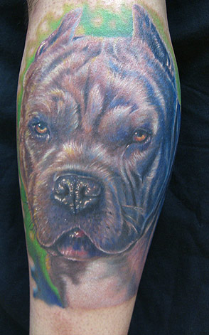 Looking for unique Realistic tattoos Tattoos? Pit Bull
