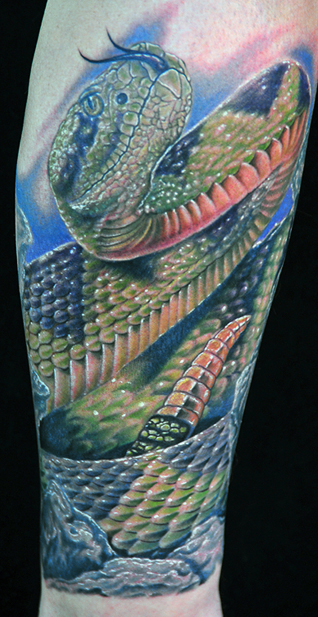 Mike DeVries : Tattoos : Animal : Snake