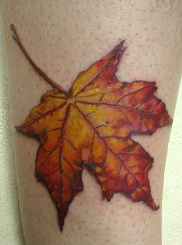 leaf tattoo by Tattoo Culture. By Gene Coffey at Tattoo Culture