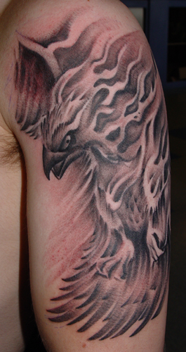Tattoos Nature Animal Bird Tattoos Phoenix