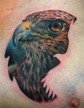 Hawk Tattoos on Looking For Unique Carlos Rojas Tattoos  Hawk Tattoo