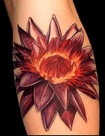 Looking for unique Tattoos Lotus Flower Tattoo