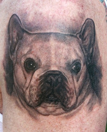 Phil Young - Pug face. Large Image Leave Comment. Tattoos