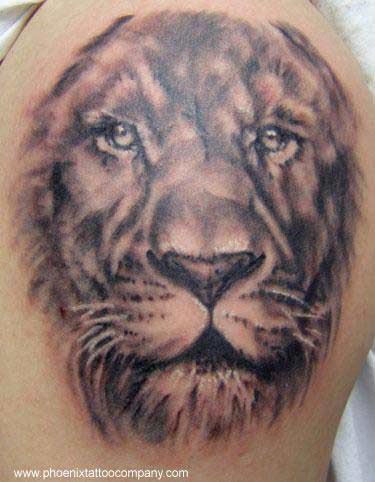 Cat Tattoos and Cat Tattoo Designs Realistic Lion Tattoo in black and gray