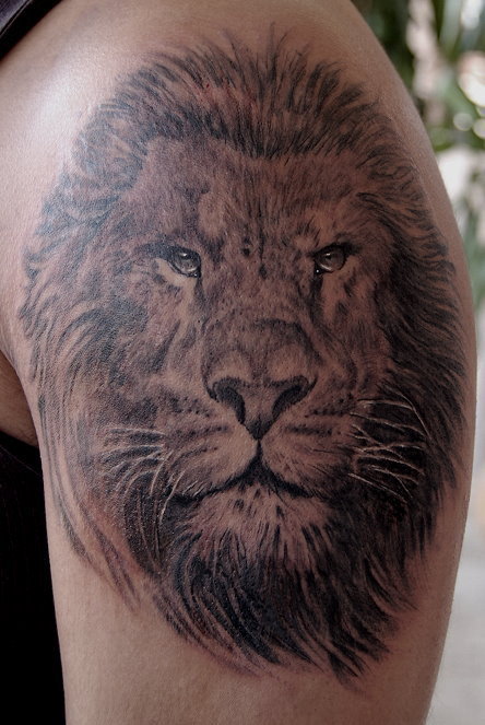 Nature Animal Wildlife Tattoos Lion