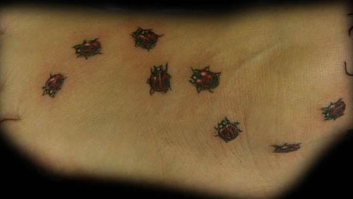 ladybugs tattoos. Nature Animal Ladybug Tattoos