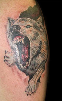 Wolf Tattoos on Off The Map Tattoo   Tattoos   Nature Animal Wolf   Untitled