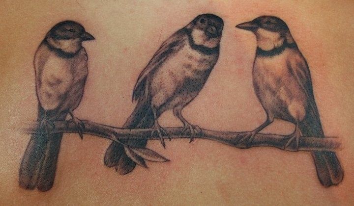 Pretty Bird Tattoos