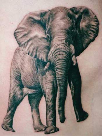 tattoo animal. Elephant tattoo animal