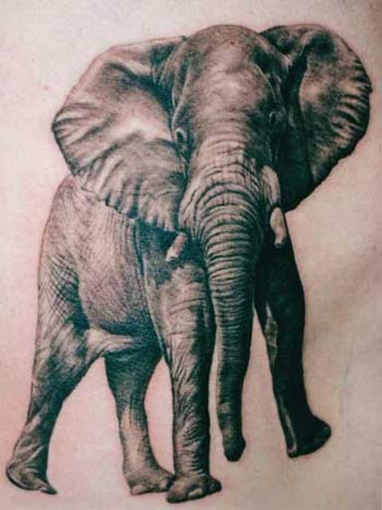 animal tattoos