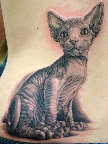 Looking for unique Tattoos? Hairless Cat Tattoo