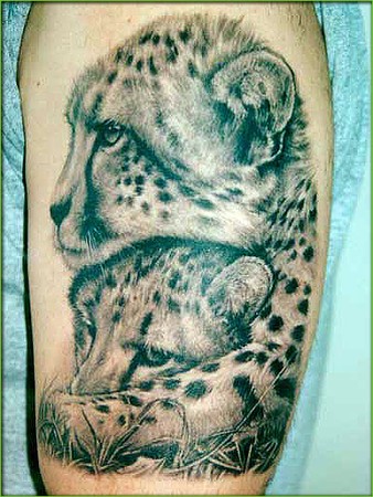 cheetah scratch tattoo