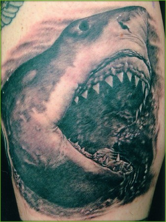 Looking for unique Realistic tattoos Tattoos Shark Tattoo