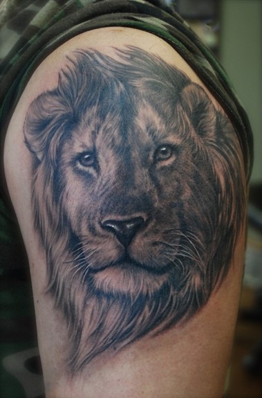 Lion Tattoos