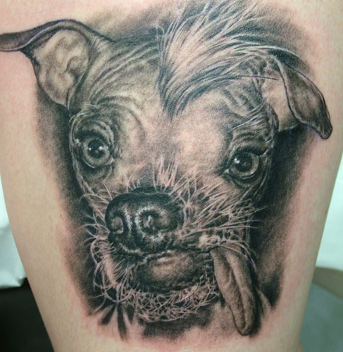 Looking for unique Nature Animal tattoos Tattoos? dog portrait tattoo