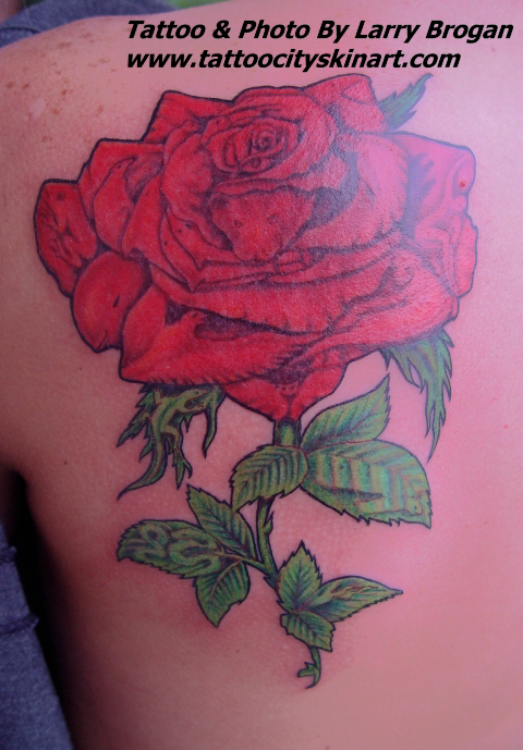 wild tattoos. tattoos Tattoos? Wild Rose
