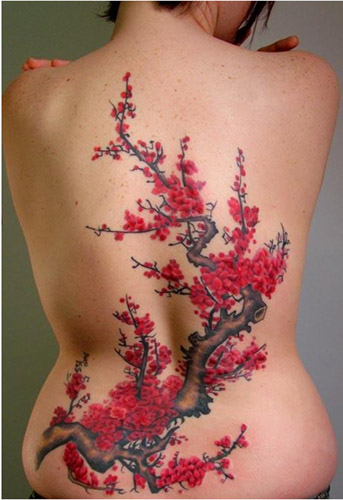 cherry blossom tree tattoo on back. Stina Sardinha - Cherry