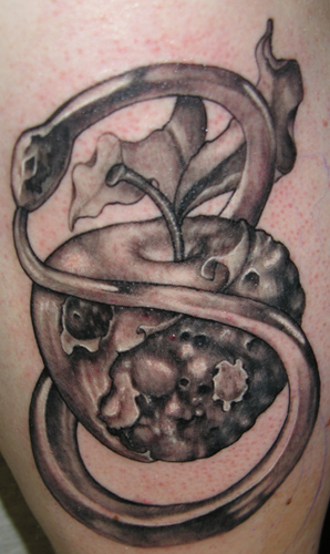 Looking for unique Black and Gray tattoos Tattoos? yin yang rotten apple
