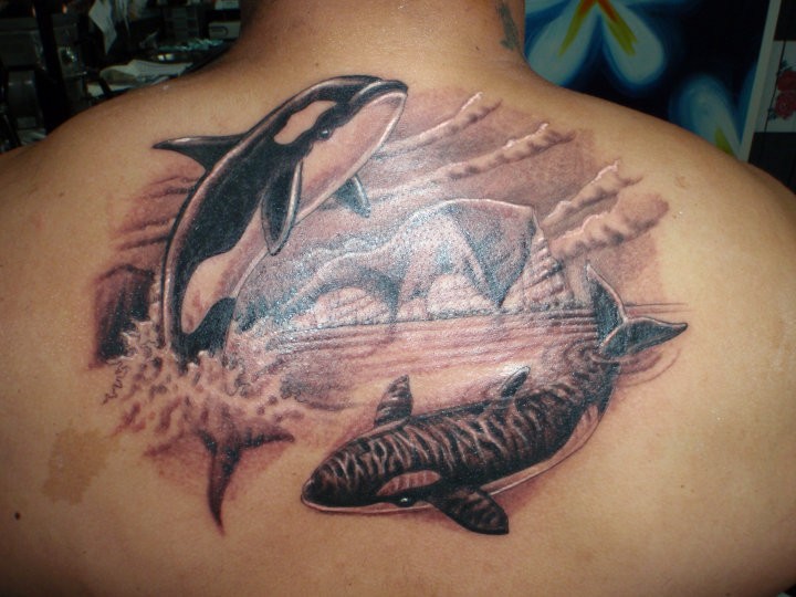 Looking for unique Tattoos? Orca whale tattoo · click to view large image