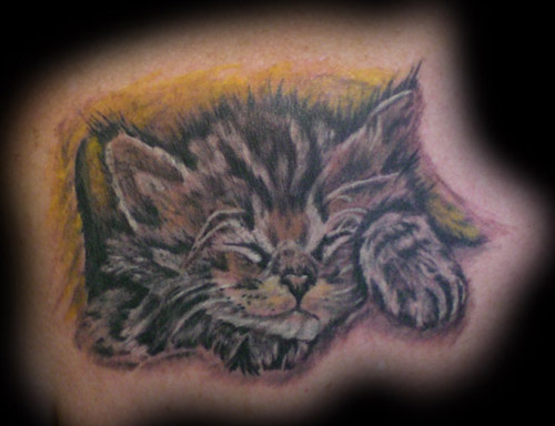 Tattoos Nature Animal Cat. kitten naptime. Now viewing image 2 of 2 previous 
