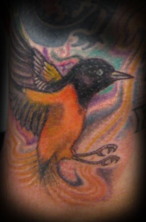 Markuss - Orange Oriole Bird Tattoo