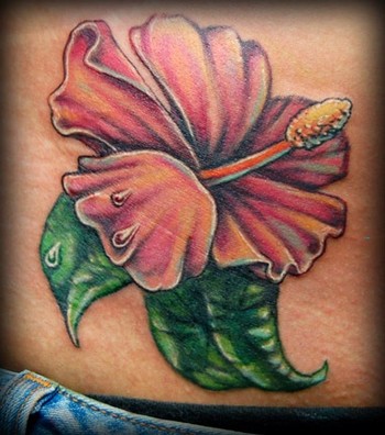 The hibiscus hawaiian flower tattoo designs are native to islands in the