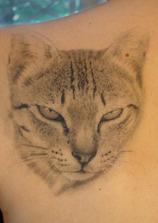Sergey Rikhter Cat Tattoo Sergey Rikhter Cat Tattoo