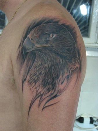 skull tattoo,hawk tattoos