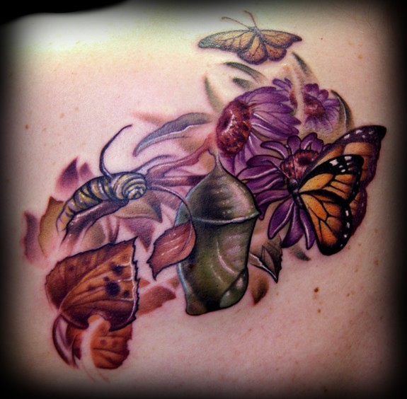 Kelly Doty - Monarch Butterfly Life Cycle tattoo. Large Image Leave Comment