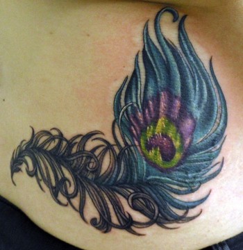 Comments: Another peacock feather tattoo! I'm really enjoying these.