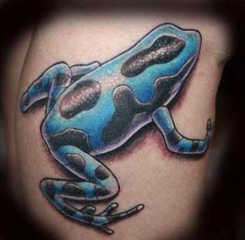 Mike Pace - Dart Frog Large Image. Keyword Galleries: Color Tattoos,