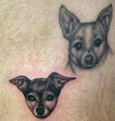 Stretch Dog portrait tattoo Stretch Dog portrait tattoo Leave Comment