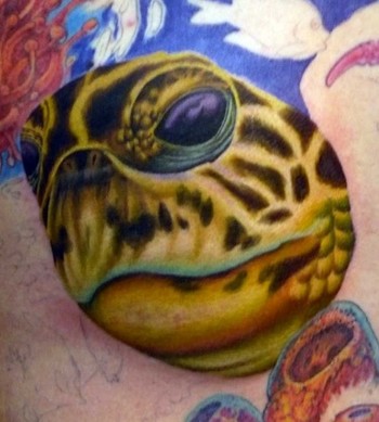 Custom Tattoos on Off The Map Tattoo   Tattoos   Custom   Hawksbill Sea Turtle