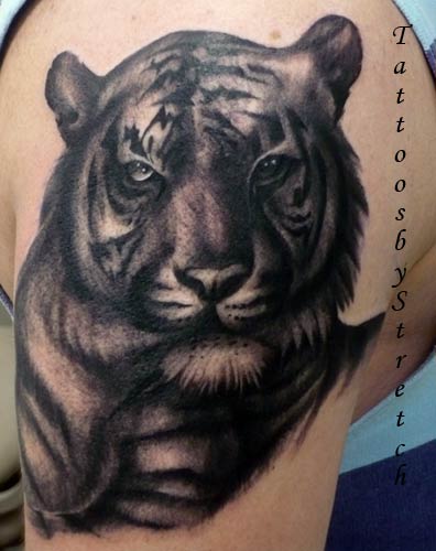 tigers tattoos. gray tiger tattooed on the