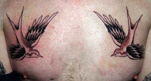 tattoo swallows. Alex Sherker - Swallows